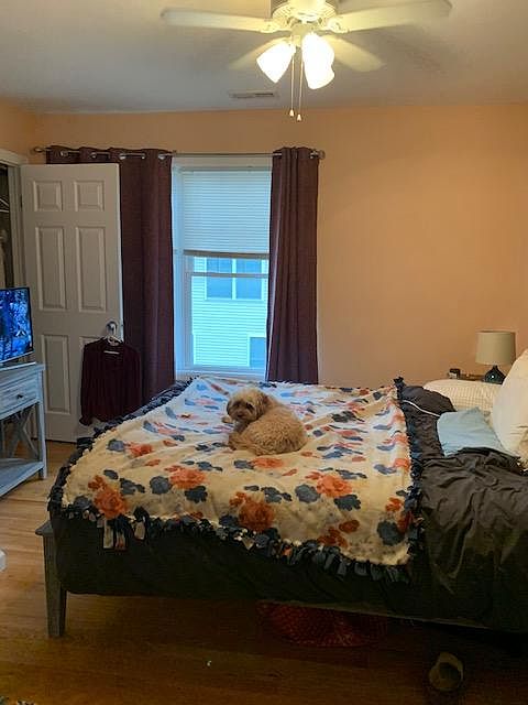 2nd image of 42 Ferris Ave #2B