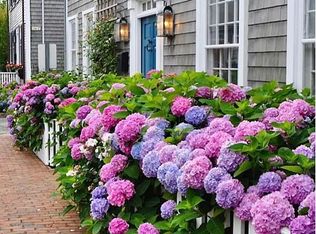 35 Pine St, Nantucket, MA 02554