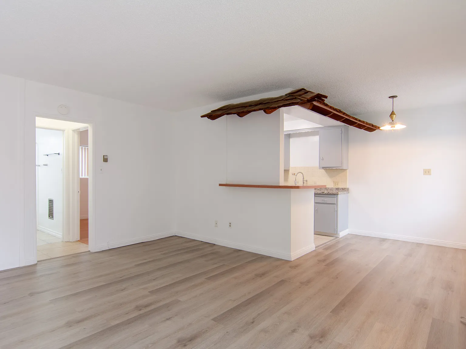 1303 Lyndon St — Photo 4