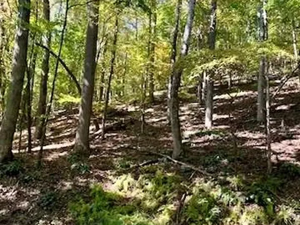 Hickory Vista Lane 103 106 #101-102-107, Mills River, NC 28759