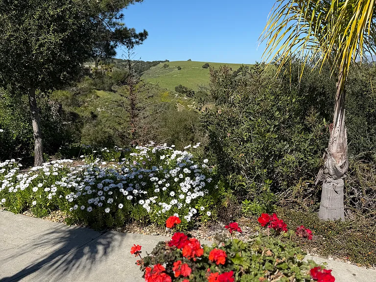 550 Bluebird Glen Rd — Photo 24