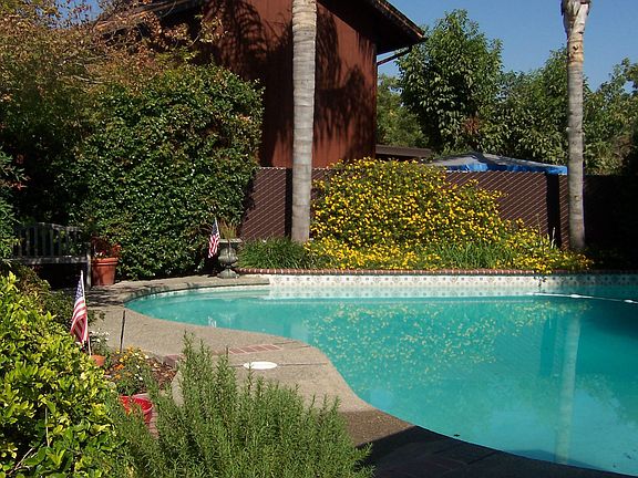 LARGE pool in secluded garden of eden