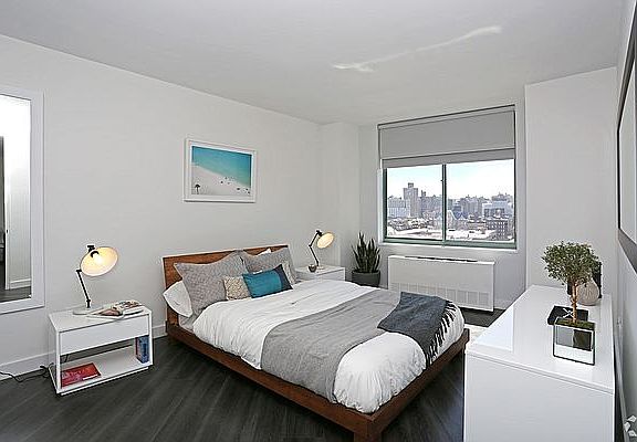 3rd image of 250 E Houston St APT 5D