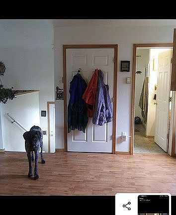 5th image of 527 Juniper Dr
