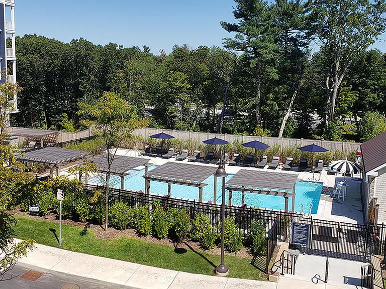 Lush Landscaping around Pool and Sun Deck