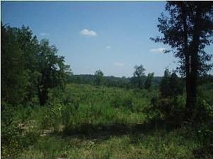 5th image of 566 Evergreen Dr
