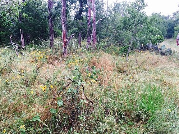 Nice thick growth offers natural screening for privacy.  Pathways are clear to get to the rear of the property.  You can hand sculpt your own clearing for your own purposes.  Or, leave it as is.