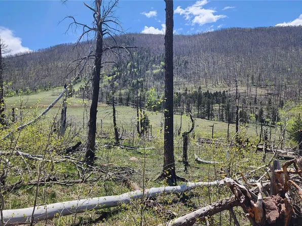 2334 Wohlstetter Loop, Fort Garland, CO 81133