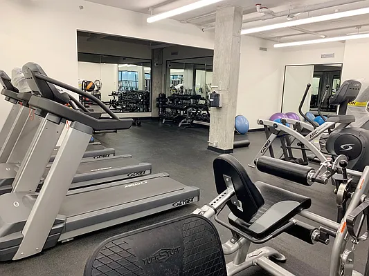 Rented by Alpha Properties NYC I LLC | media 39