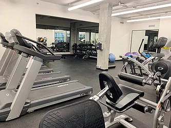 Rented by Alpha Properties NYC I LLC