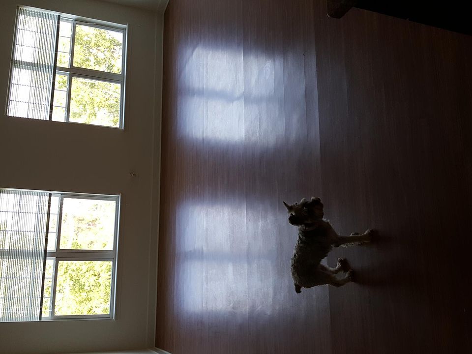 Iroquois Village Apartments Niskayuna, NY Zillow