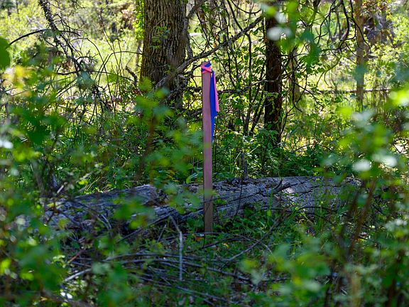 5th image of 230 Shasta Springs Rd