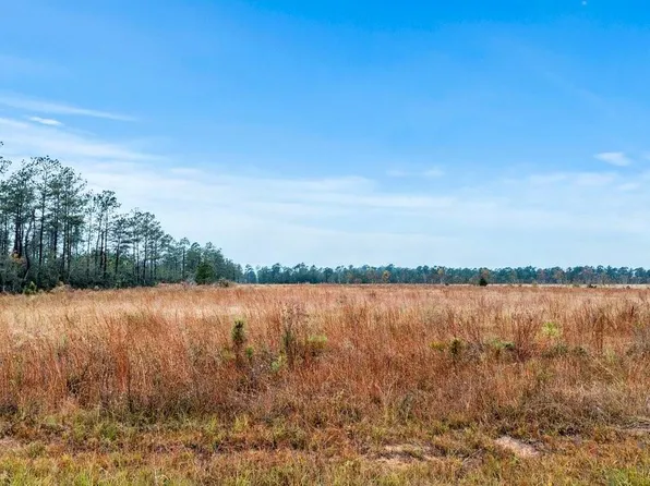 McCorquodale Rd Lot 17, Longville, LA 70652