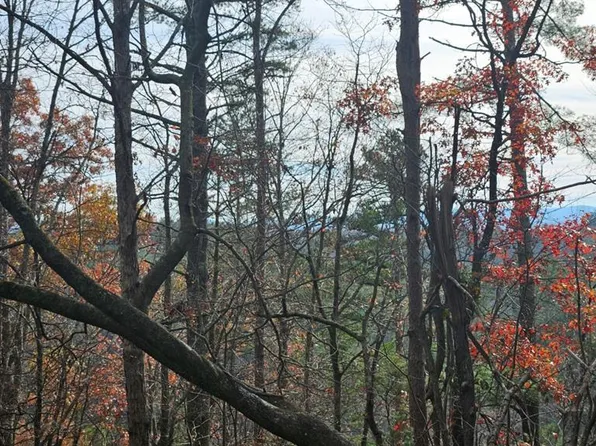 154 Rhondas Way, Ellijay, GA 30540