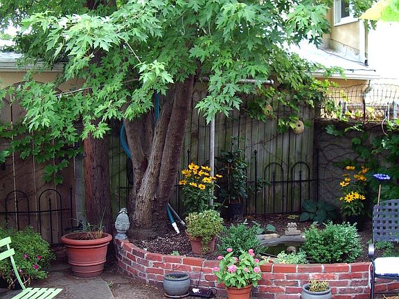 Garden Courtyard