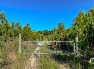 0 Marvis Chapman Rd, Ideal, GA 31041