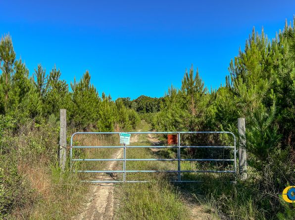 0 Marvis Chapman Rd, Ideal, GA 31041