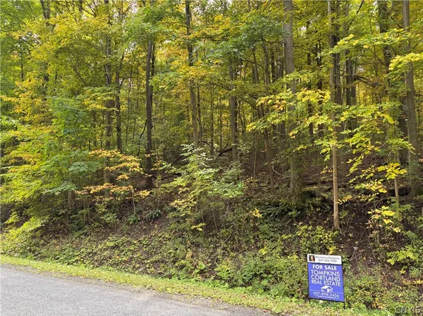 Smith Rd Lot 12, Newfield, NY 14867