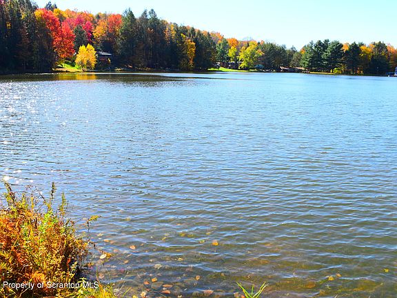 3rd image of 779 Lake Roy Cir