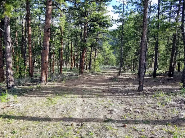 49 Pine Dr, Lyons, CO 80540