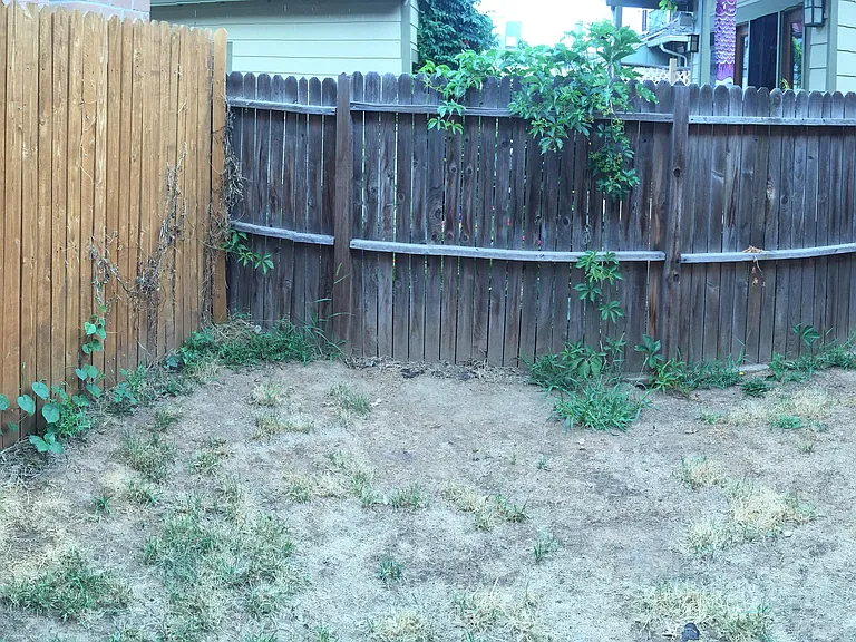 1455 Monroe St #2 — Photo 9