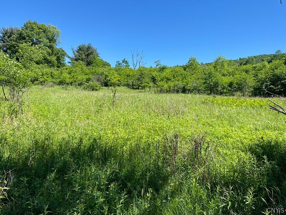 8273 Willow Brook Rd, Little Genesee, NY 14754 Zillow