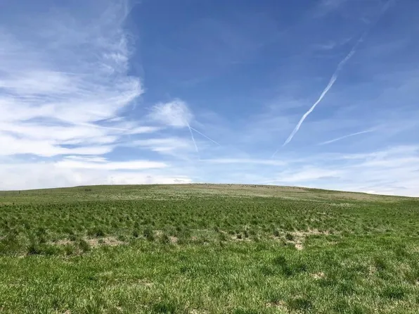 41382 Bijou Street, Agate, CO 80101