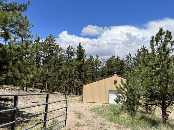 207 Little Bear Dr, Westcliffe, CO 81252