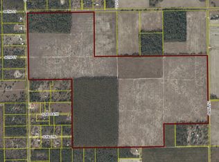 0 County Road 136/225th Rd, Live Oak, FL 32060