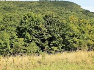 Jamison Mountain Rd, Covington, VA 24426