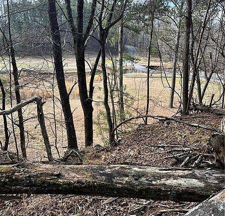 3rd image of 0 Long Swamp Dr