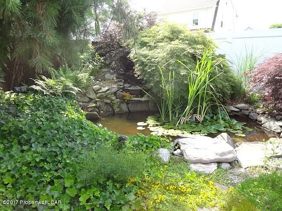 goldfish pond