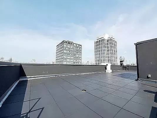 Rented by Dwelling NY Realty Inc | media 28