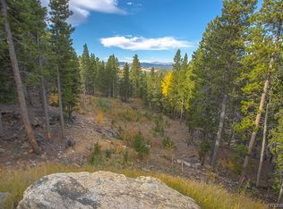 671 Muskrat Rd, Black Hawk, CO 80422