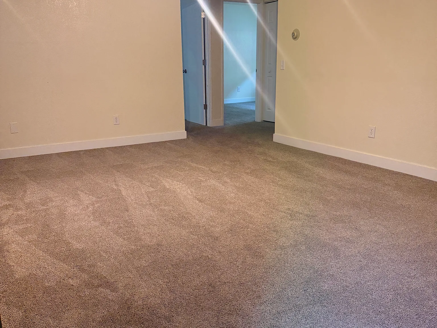 2 bed, 1000 sqft, $1,500 — Photo 2