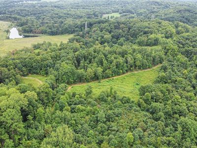 43998 Hammond School Rd, Wellsville, OH, 43968