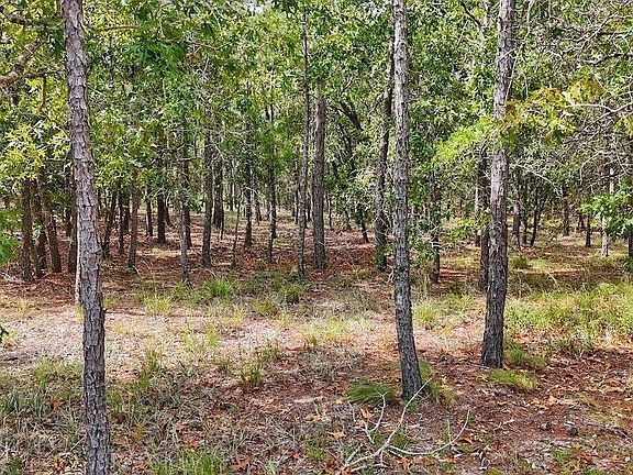 5th image of 2929 Serrano Trail SE