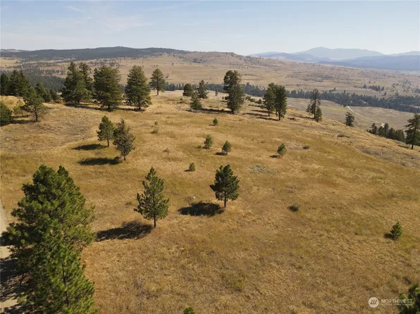 0 TBD Blue Grouse Road, Oroville, WA 98844