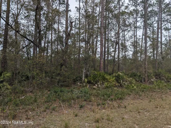 000 SUSAN Street, Interlachen, FL 32148