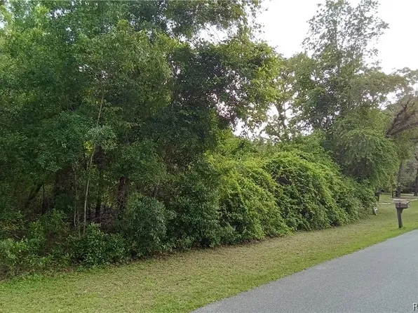 288 S Highview Ave, Lecanto, FL 34461