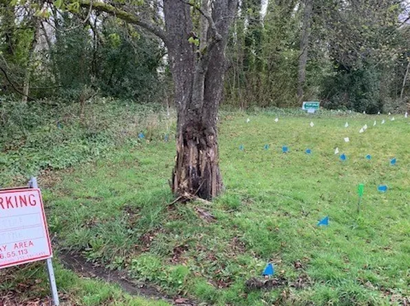 328 E 40th Street, Tacoma, WA 98404