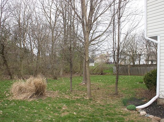 3rd image of 11243 Baycreek Dr
