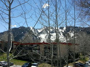 237 Vine St #237, Aspen, CO 81611