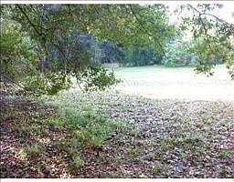 3rd image of 8728 N Meadowview Cir