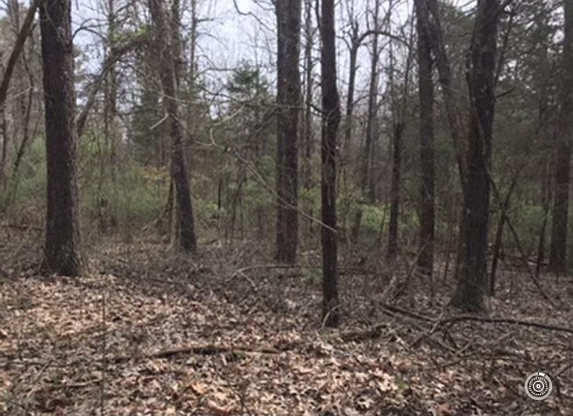 2nd image of Stagecoach Rd