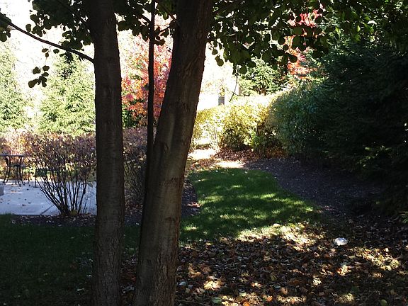 3rd image of 2714 Summit Dr
