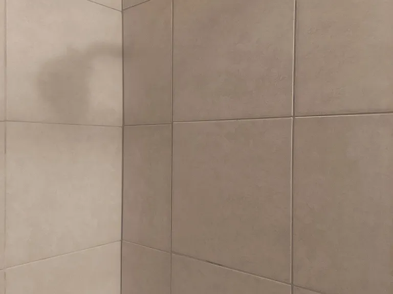 Showerhead /Tub- Bathroom