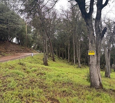 2nd image of 5877 Armijo Ave Lot 5-8