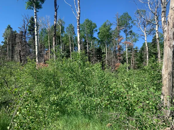 Sigler Rd #2183-2188-2189, Fort Garland, CO 81133