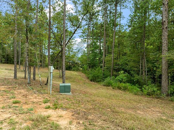5th image of 9 N Fork Dr